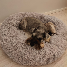 Lataa kuva Galleria-katseluun, DogLemi Pörröpeti stressin lievennykseen