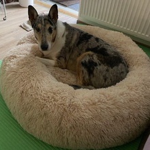 Lataa kuva Galleria-katseluun, DogLemi Pörröpeti stressin lievennykseen