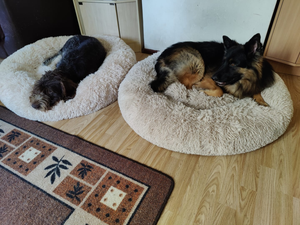 DogLemi Pörröpeti stressin lievennykseen