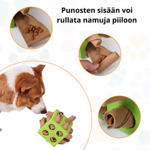 Lataa kuva Galleria-katseluun, DogLemi Noppa aktivointilelu