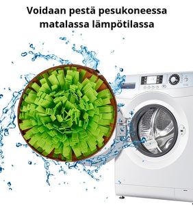DogLemi Nurmikko aktivointilelu