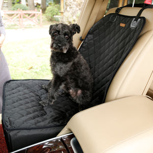 DogLemi Koiran autoistuin