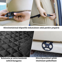 Lataa kuva Galleria-katseluun, DogLemi Koiran autoistuin