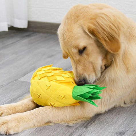 Doglemi Ananas aktivointilelu