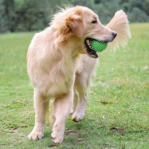 DogLemi Heittopallo