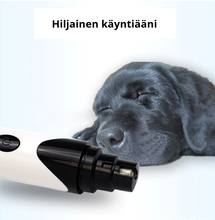 Lataa kuva Galleria-katseluun, Petwant N8 USB-ladattava koirien kynsitrimmeri