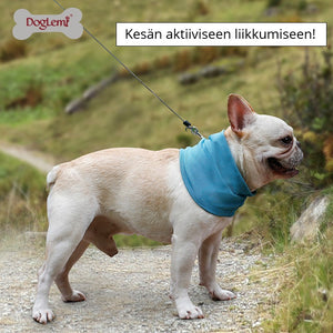 DogLemi Viilennyshuivi koirille