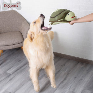 DogLemi Kilpikonna aktivointilelu
